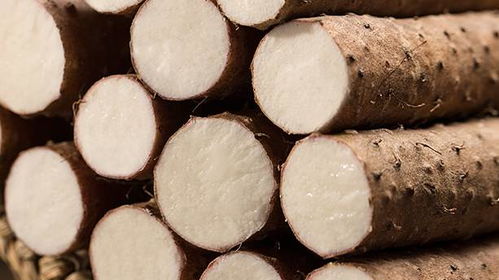 出伏了 但秋天還沒來 這些養(yǎng)生知識你應(yīng)該知道