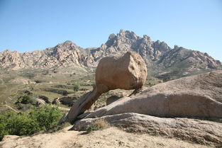 老驥伏櫪,請看看還行嗎